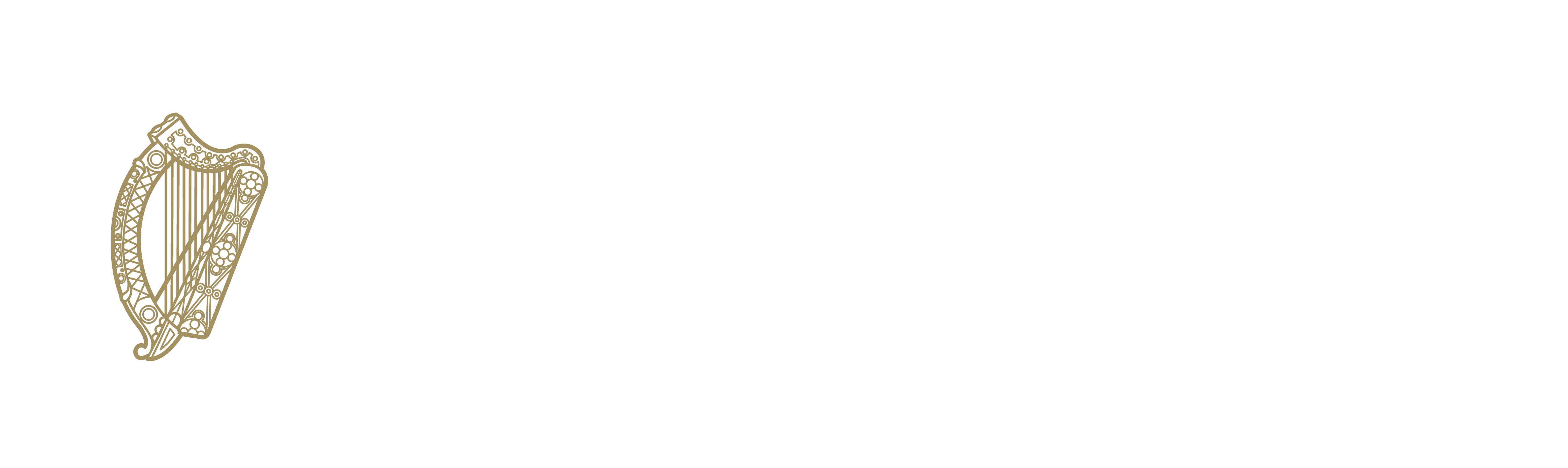Department of Culture Heritage and the Gaeltacht